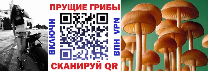 MEGA сайт  Вязники  Галлюциногенные грибы мухоморы 